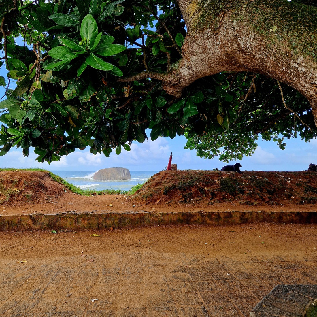Sri Lanka 78