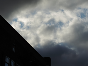 Foto's van deelnemers aan de workshop fotografie Van kijken naar zien op 27 oktober 2024