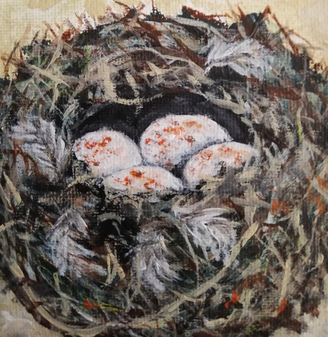 nest 3