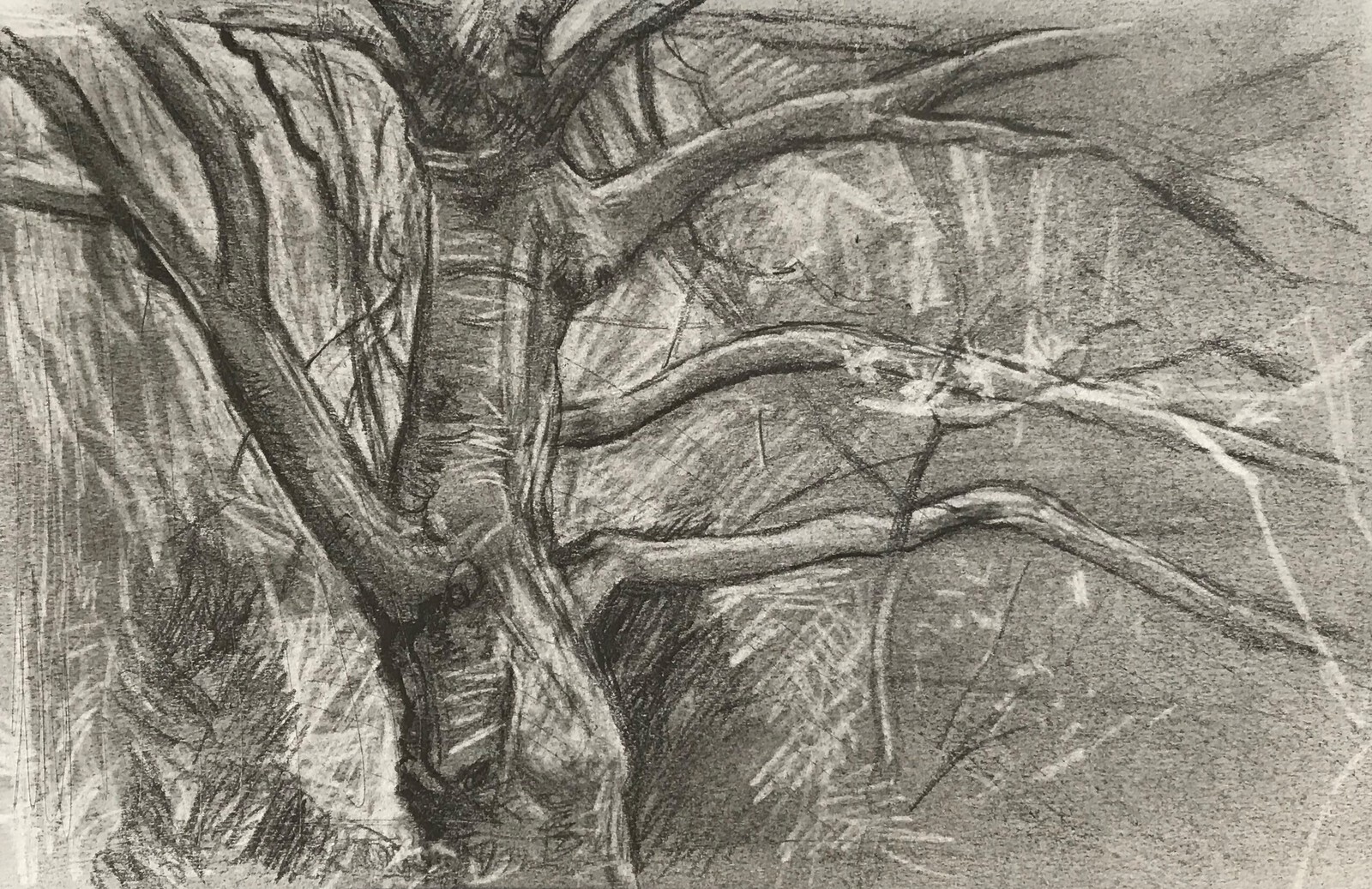 Nieuwe Ooster april '21