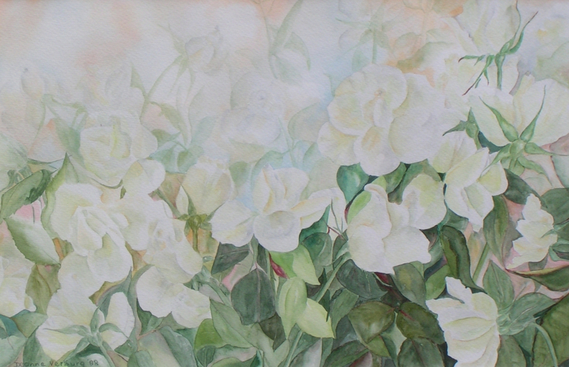 Witte rozen