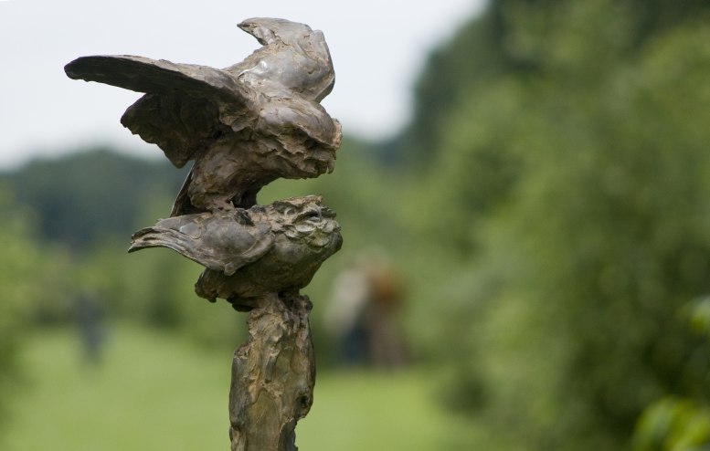 Parende steenuiltjes