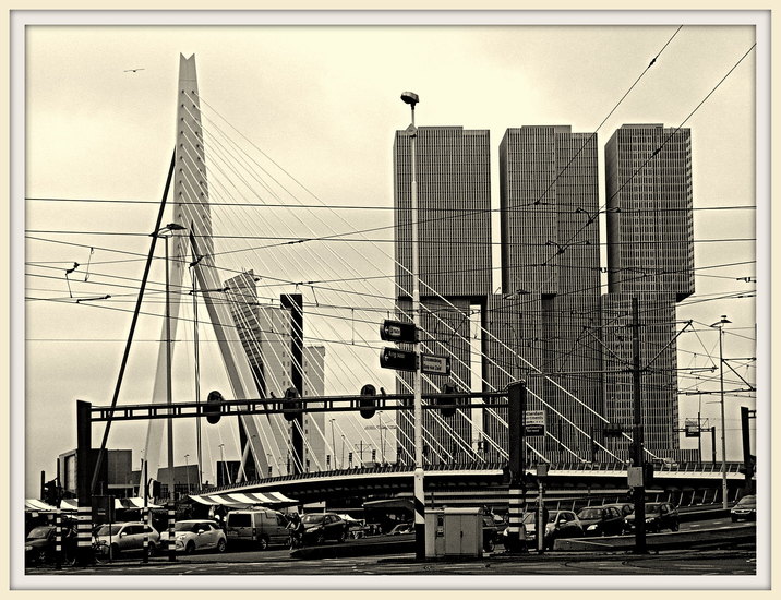 Erasmusbrug