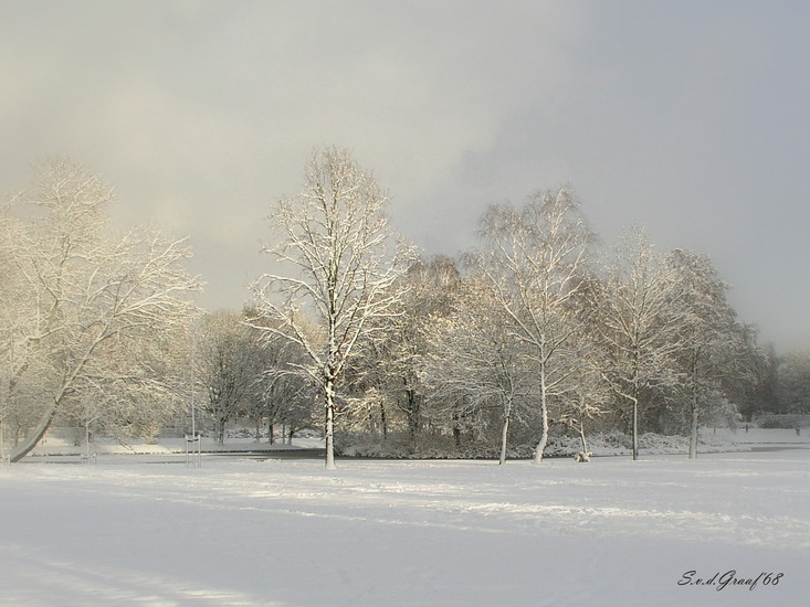 Leeuwenkuil 2010