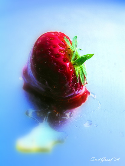 Aardbei