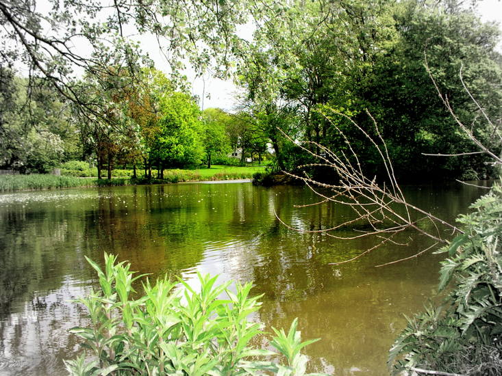 Leeuwenkuil