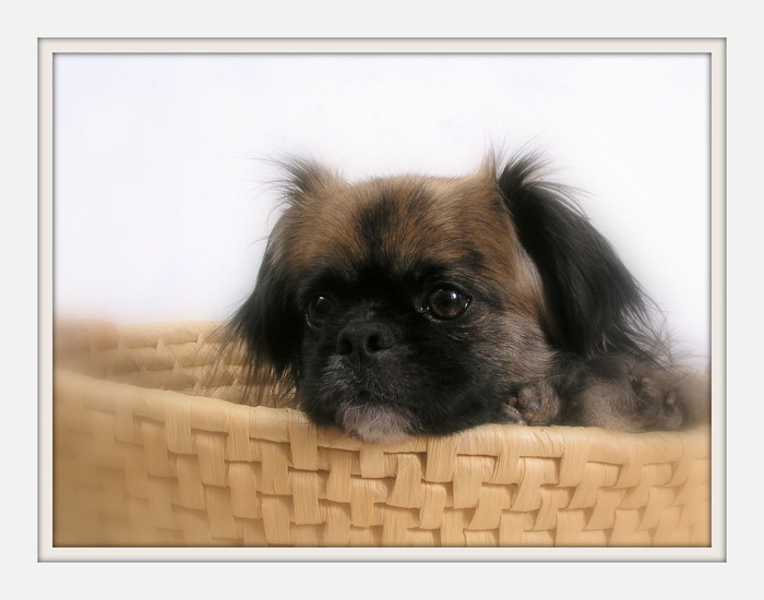 Nalah
