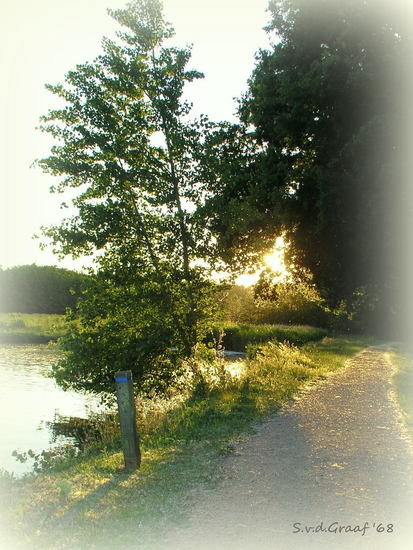 Bergse bos