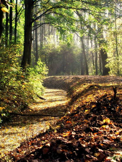 Herfst