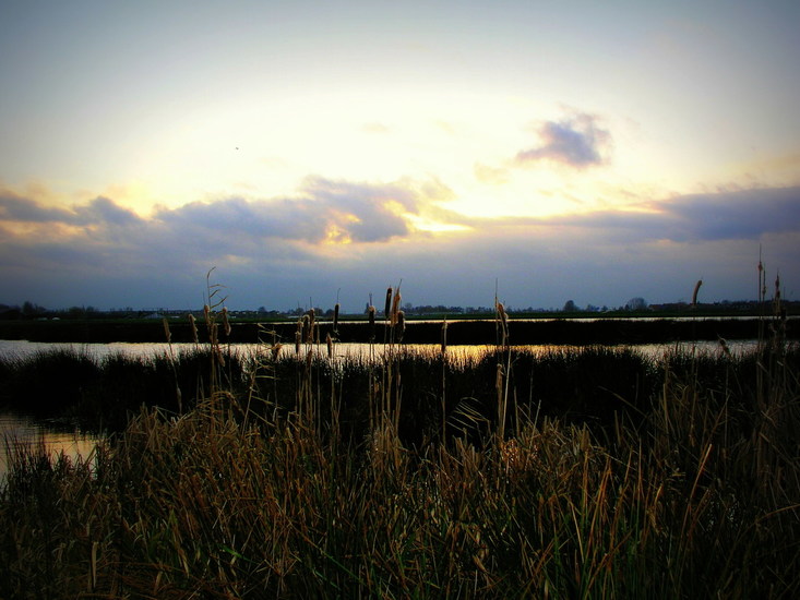 Groenzoom