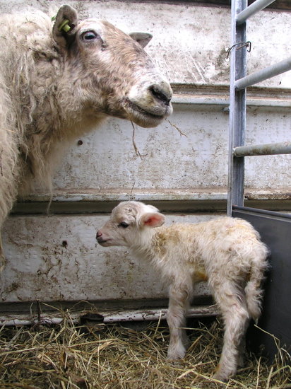 Just born 9