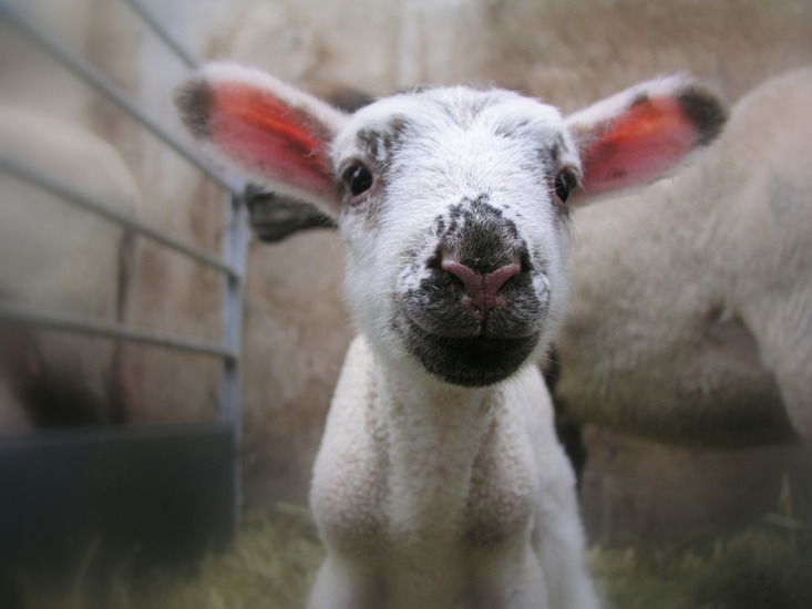 Just born