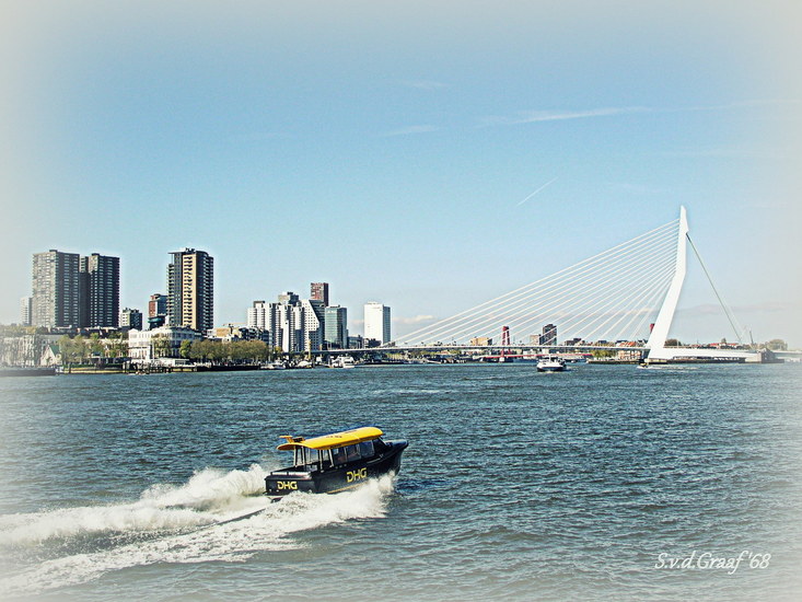 Erasmusbrug