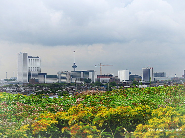 Rotterdam