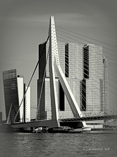Erasmusbrug