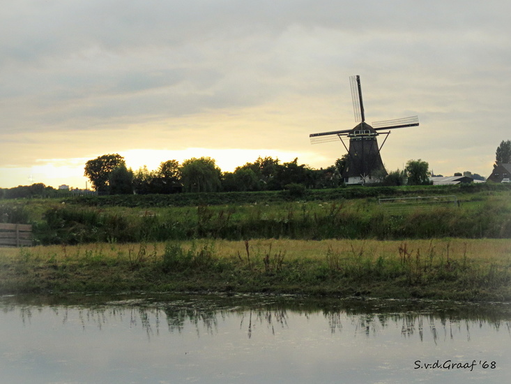 Molen