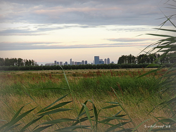 Rotterdam