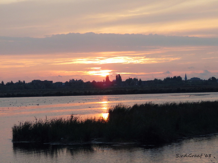 Groenzoom