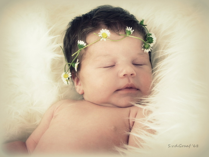 Sleeping beauty