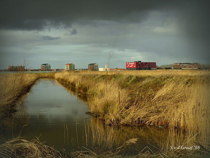 Lansingerland