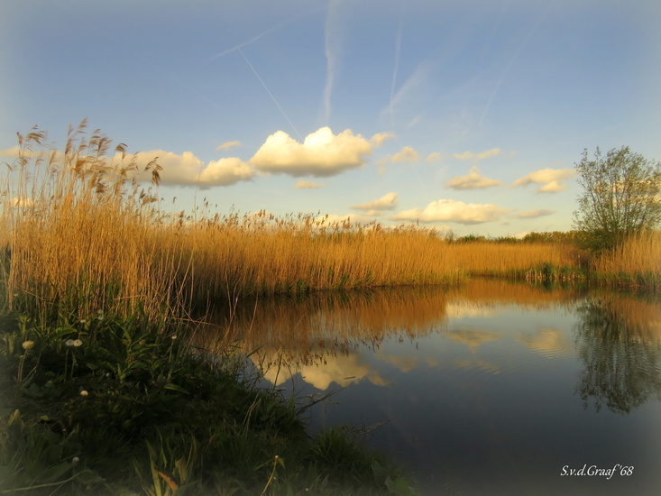 Park de Polder