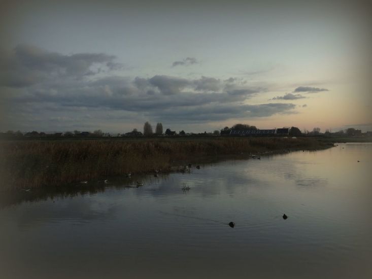 Groenzoom
