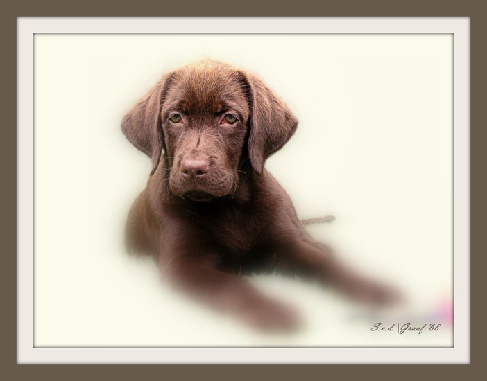 Hunter