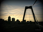 Rotterdam
