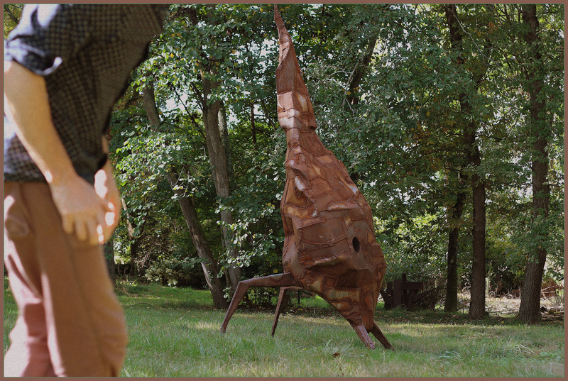 Serge, les yeux sur l'Horizon