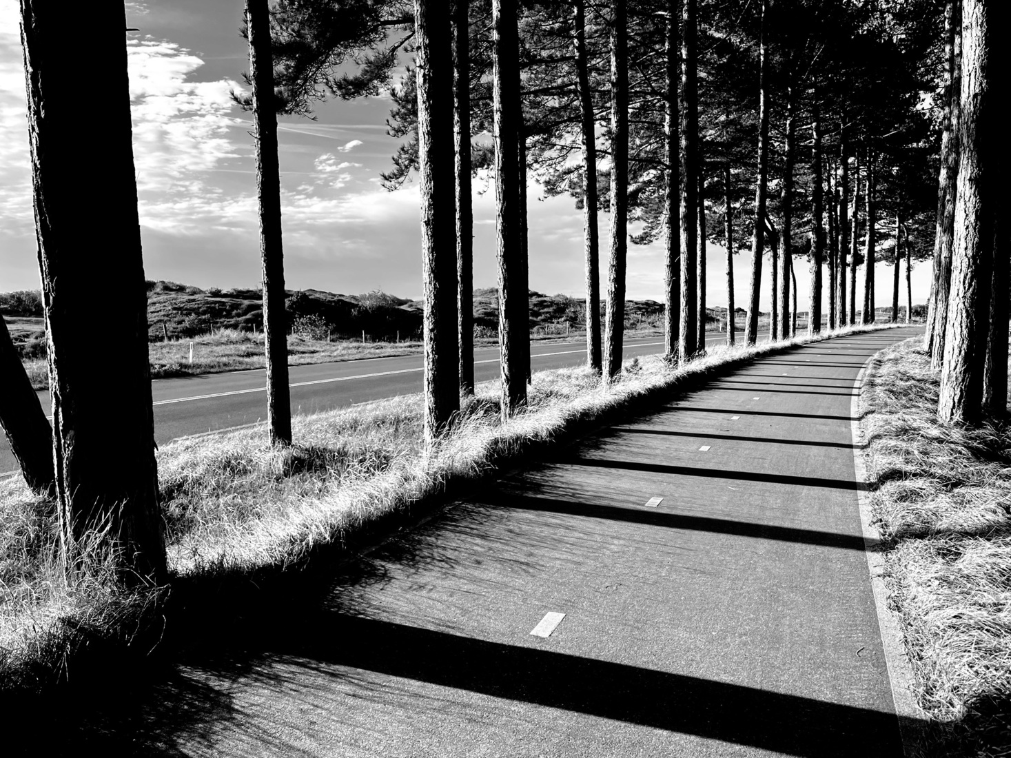 Zeewweg 1 - november '25