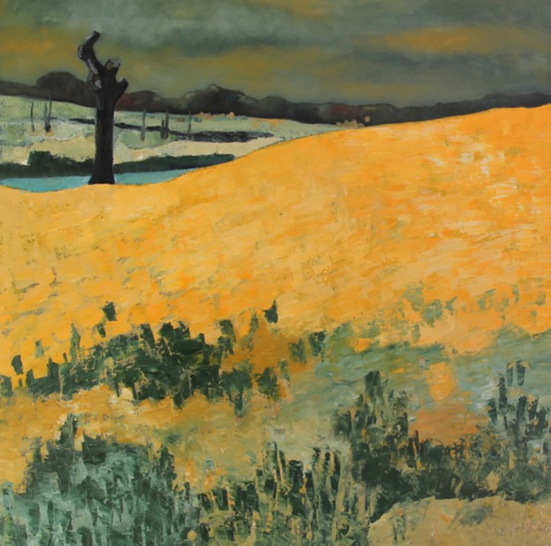 Koolzaadveld Bourgogne 2011