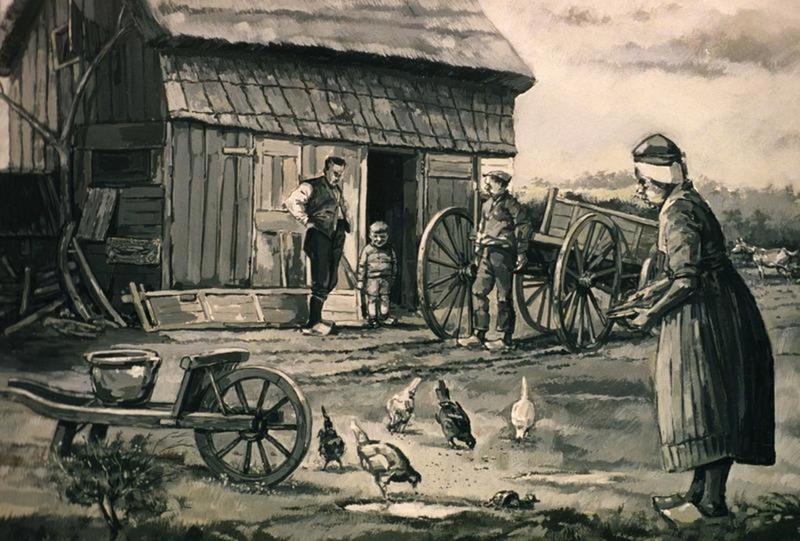 Op de boerderij