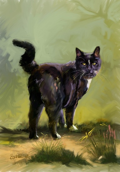 Kat