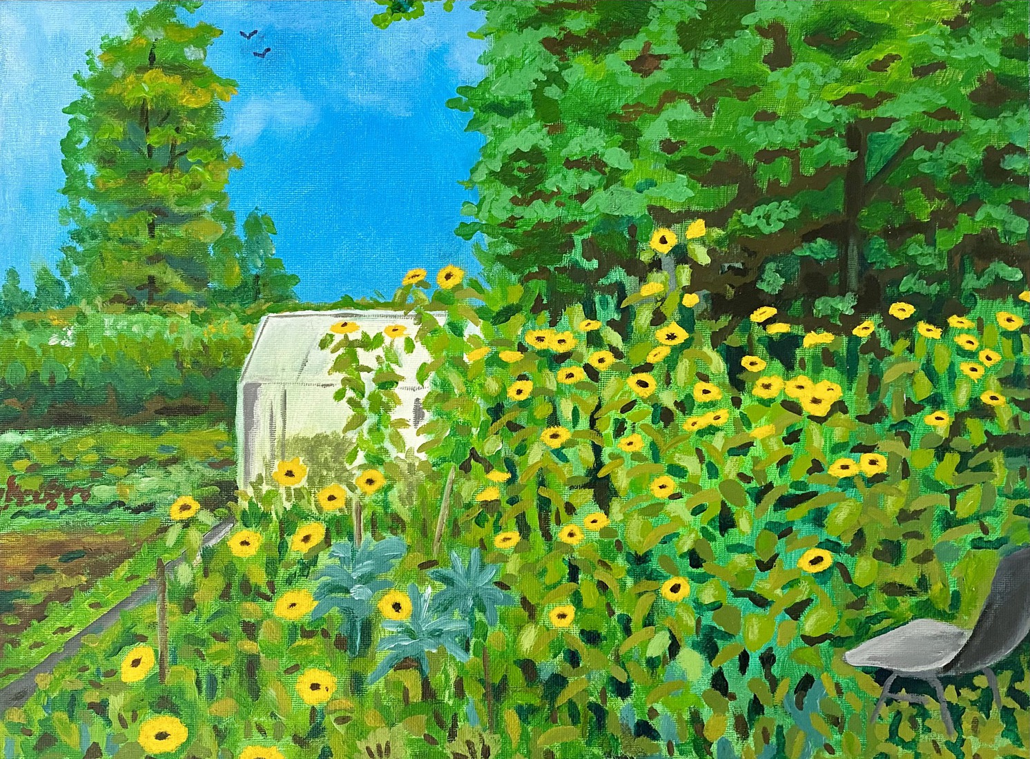 moestuintje met aardpeer