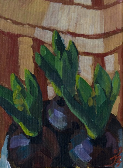 nr 60