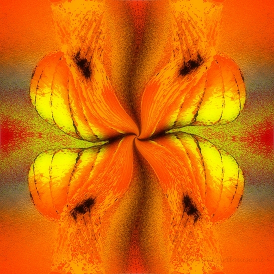 Compilaties Abstract 1