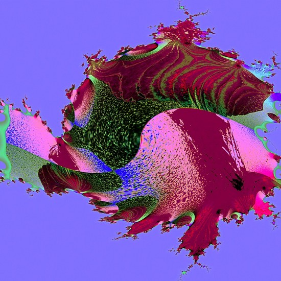 Betta Siamese Kempvis