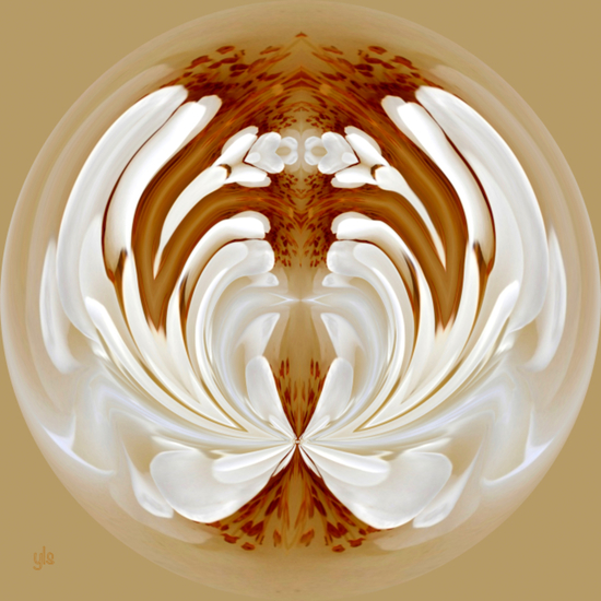 Wilde Roos veranderd in Art