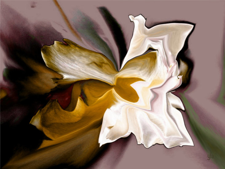 Witte roos veranderd in Art Okergeel