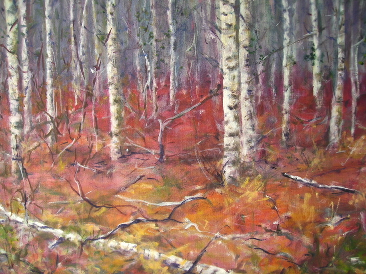 berkenbos aan het meer