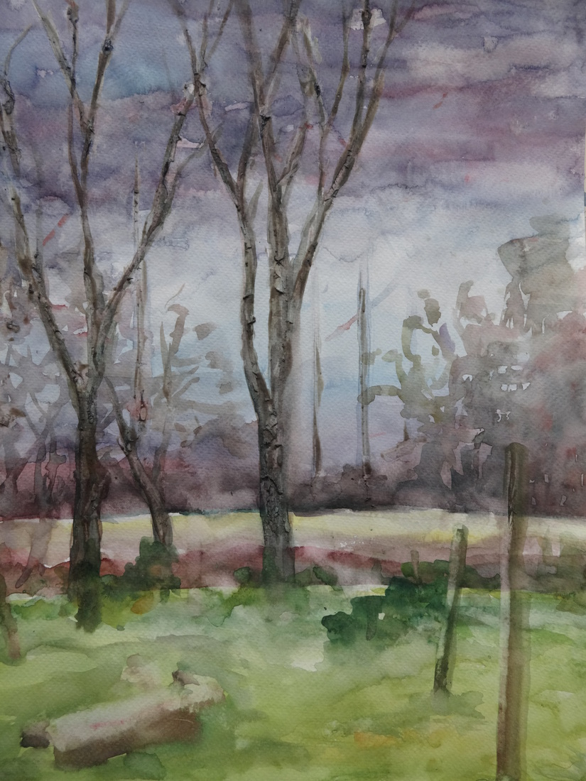 uitzicht uit het atelier