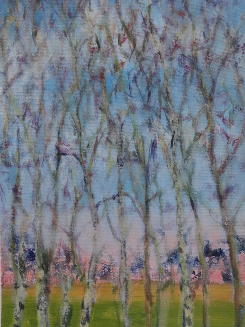 uitzicht op berkenrand