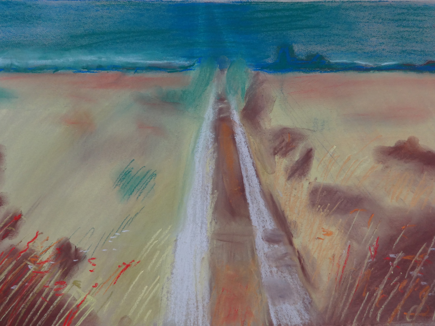 landschap met zandpad