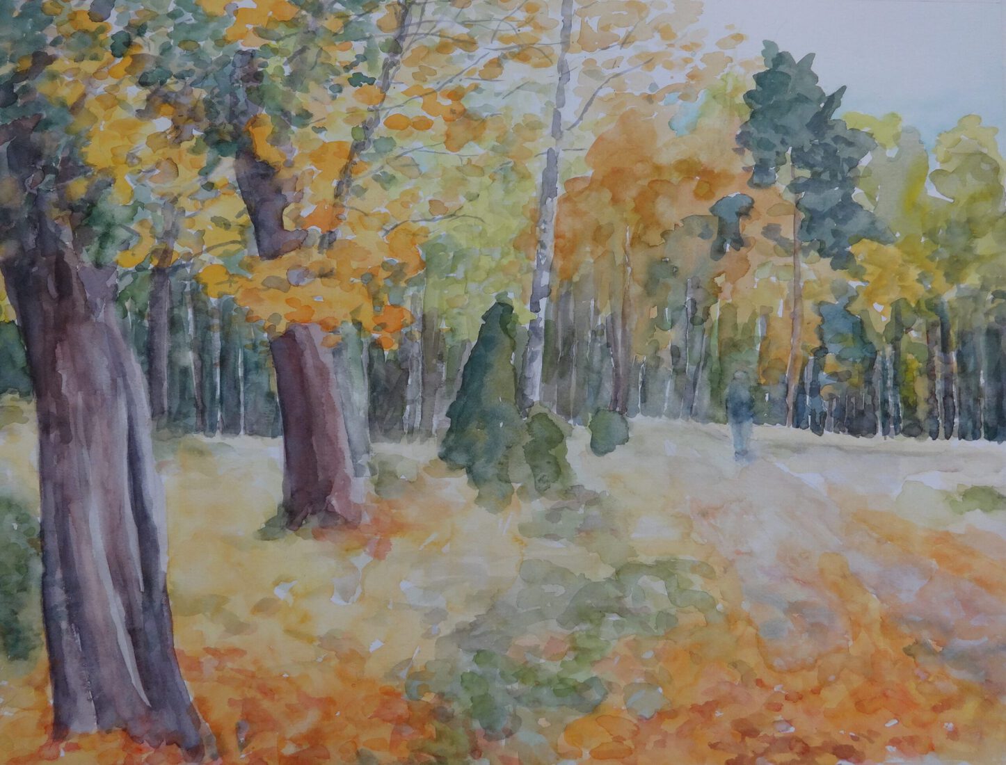 pad naar het meer, herfst