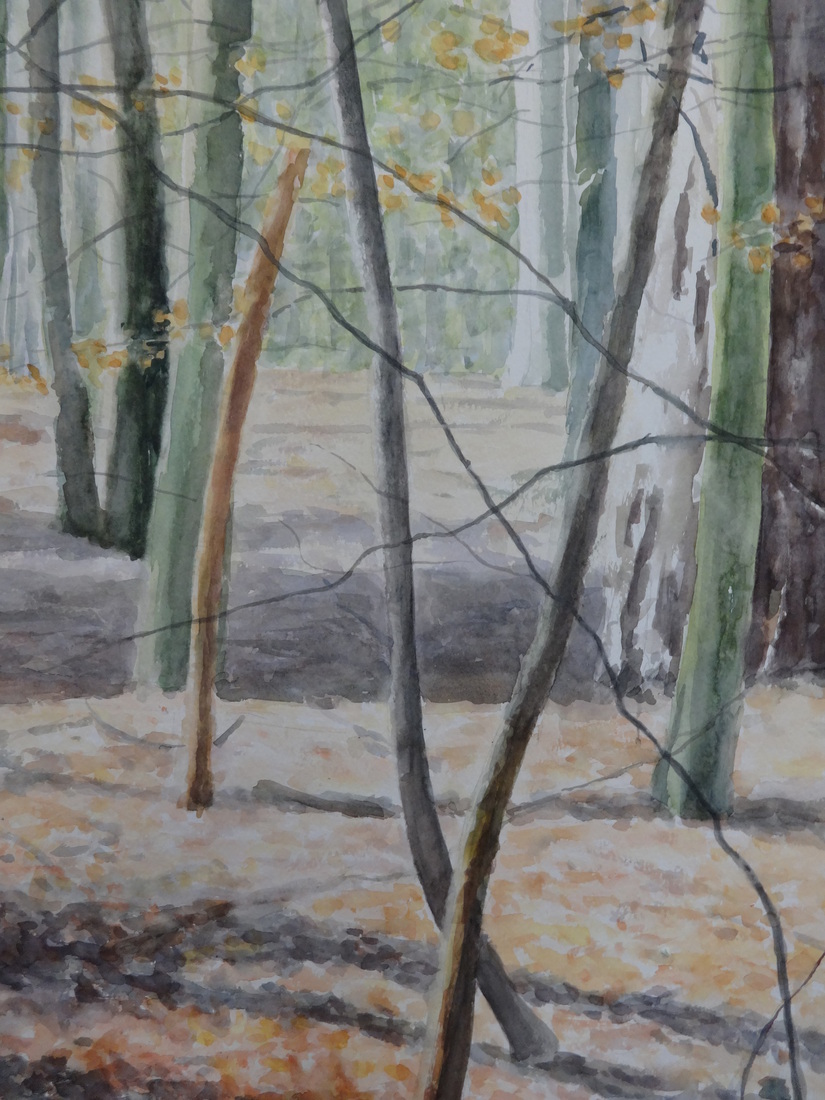 bos, stammenspel met licht