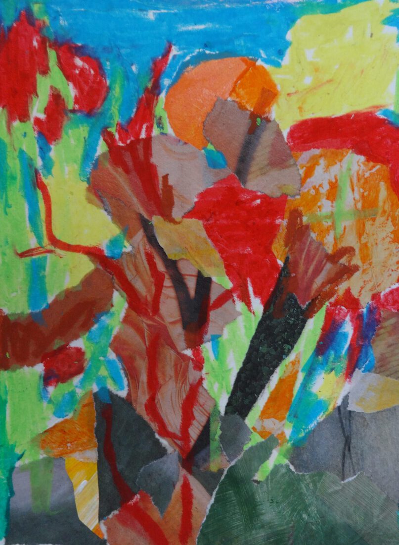 natuur, collage