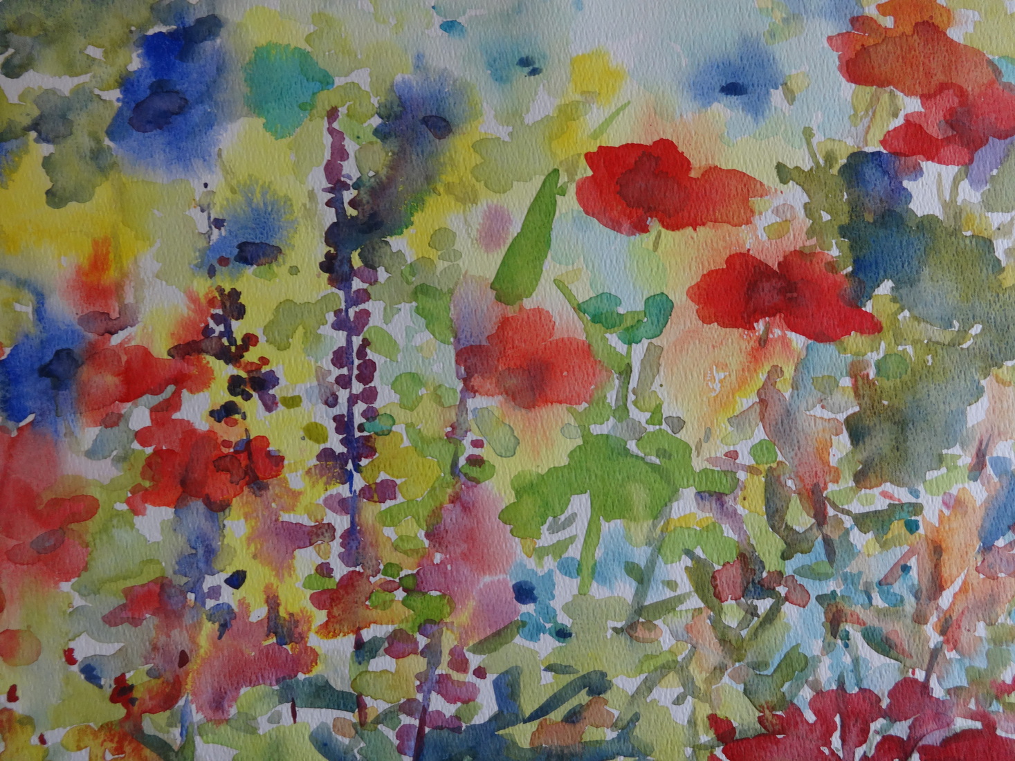 bloementuin rond midzomer