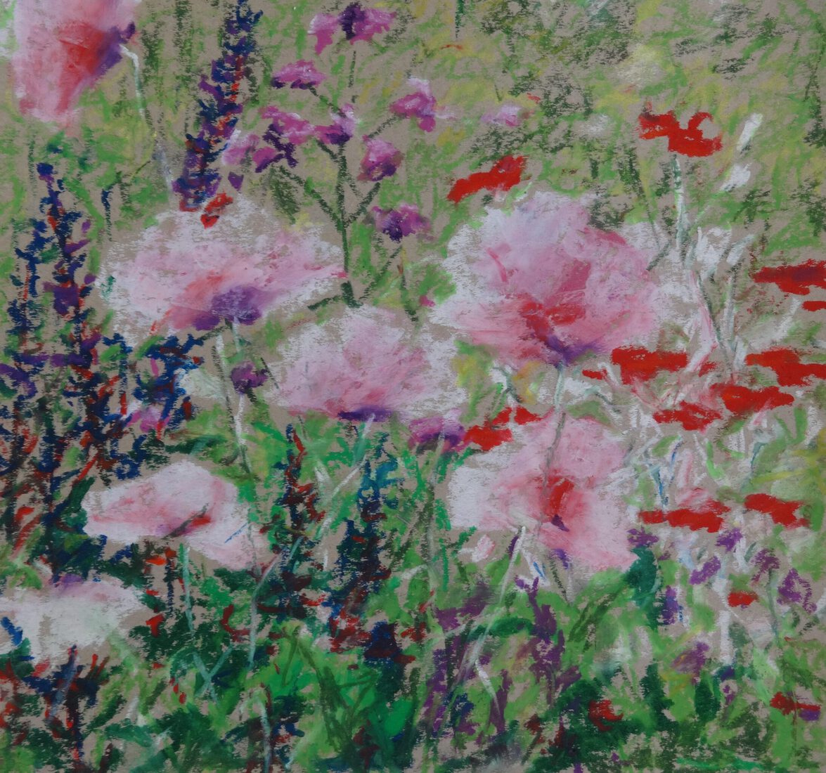roze klaprozen