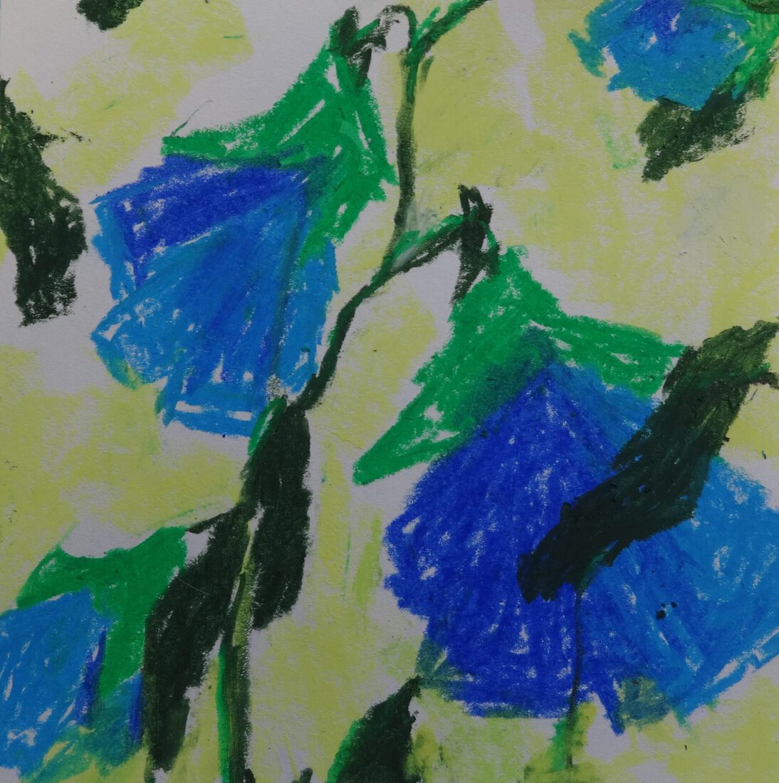 blauwe bloemen