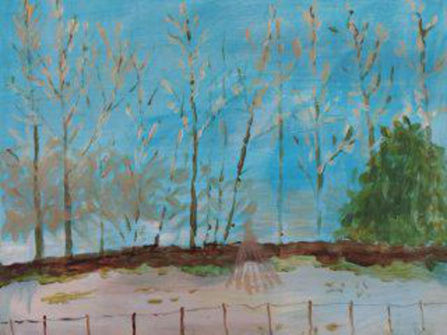 winters landschap met bomen